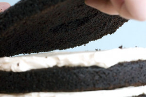 Сборка торта – советы для начинающих кондитеров