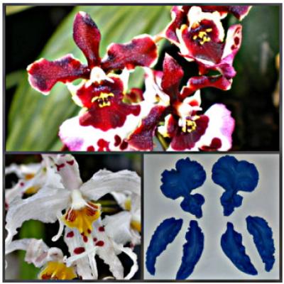 Набор силиконовых вайнеров Орхидея Психопсис