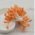 Тычинки для цветов Шишечки 90 шт (Оранжевый)