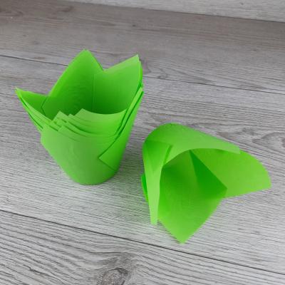 Капсулы бумажные для кондитерских изделий 10 шт Тюльпан Зеленые