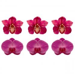 Вафельные цветочки Орхидея Фаленопсис 5 см (6 шт)