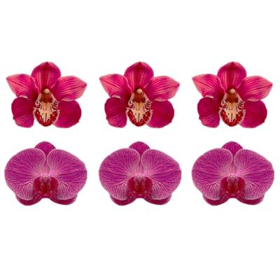 Вафельные цветочки Орхидея Фаленопсис 5 см (6 шт)