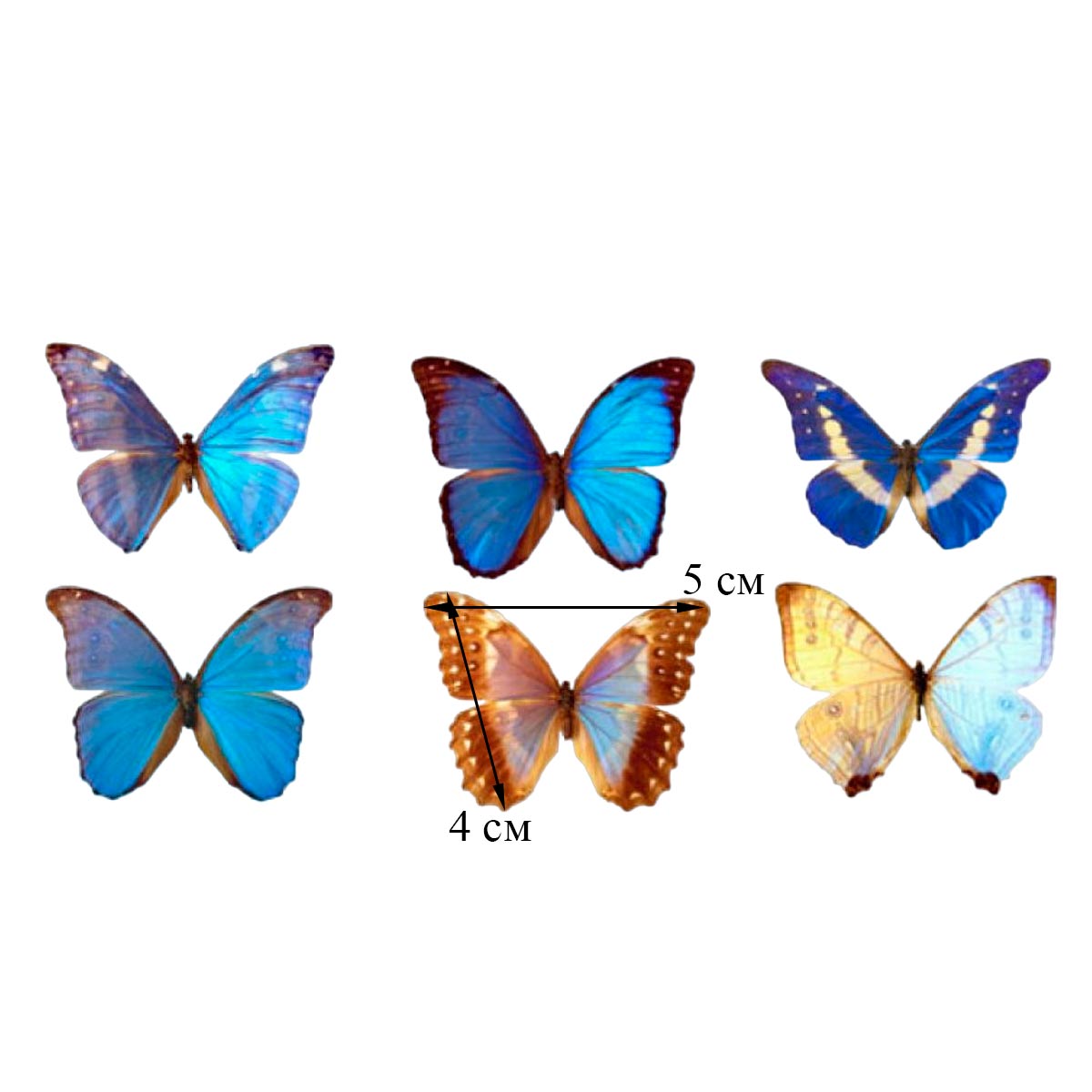 Портмоне PRS3 «Бабочки 6»
