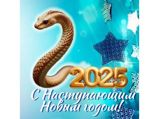 С Новым наступающим 2025 Годом!