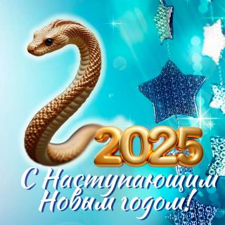 С Новым наступающим 2025 Годом!