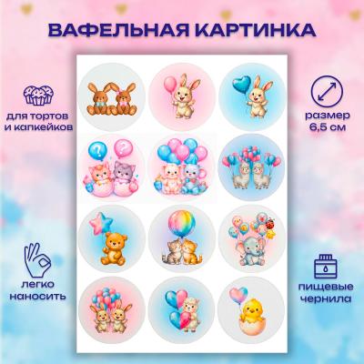 Набор съедобных картинок на торт 12 шт Гендер-пати 2