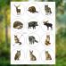 Набор съедобных картинок Лесные животные 12 шт