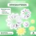 Набор выемок для мастики, марципана и теста Хризантема