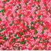 Посыпка кондитерская микс №5 крас-малин-роз-зел. 1-2мм 100 г