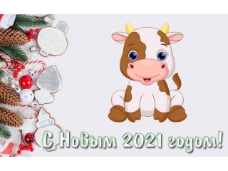 График работы - Новый Год 2021!