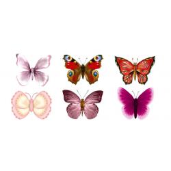 Вафельные бабочки Весенние 5 см (6 шт.)